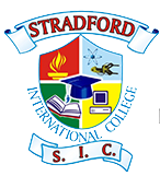 StandFord S.I.C Logo